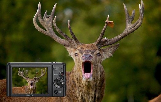 Brexit: Stag…. Camera…. Action!