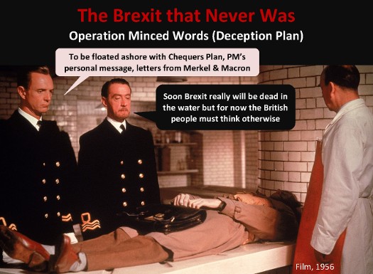 The Brexit that never was!