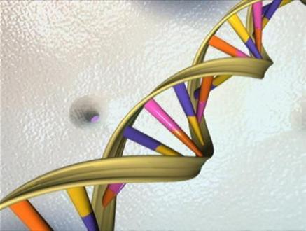 The DNA Database: Should we all be on it ?