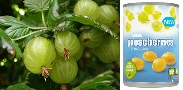 Stop Press! Gooseberries are suitable for vegetarians! Also: Spain is about to collapse.