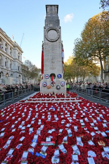 Remembering the fallen: Remembrance Sunday 2010.
