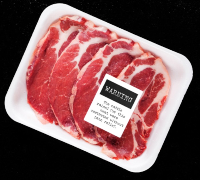 Halt! Papiere bitte!