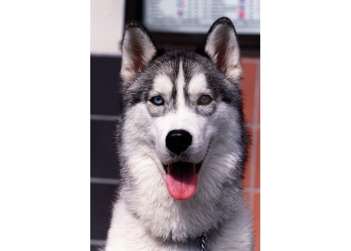 Having one’s cake and eating it too!