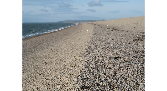 Finding a stone thrower……………………..